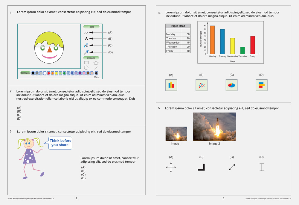 ICAS Year 2 test