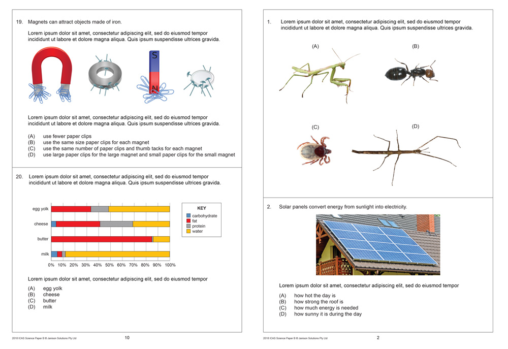 ICAS Year 4 test