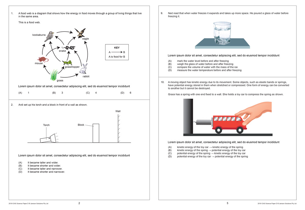 ICAS Year 6 test