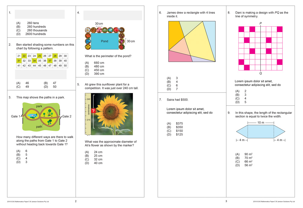 ICAS Year 7 test