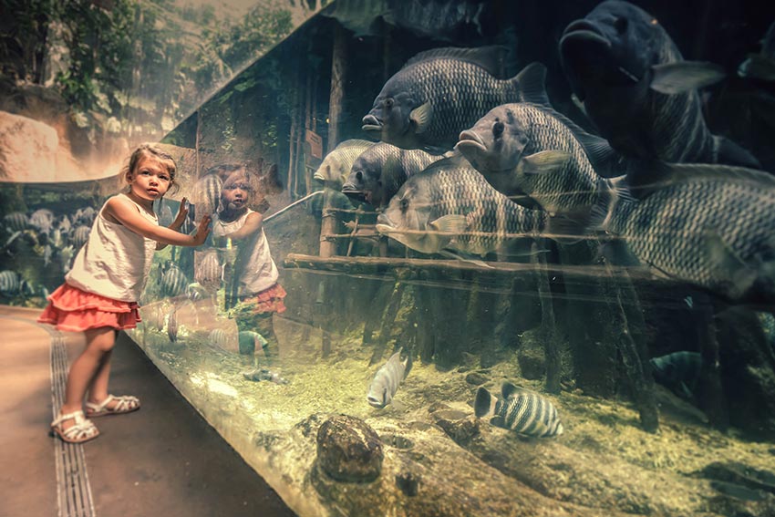 child at aquarium with fish