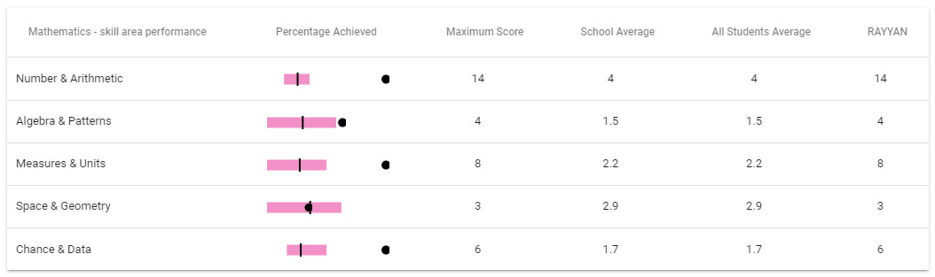 Rayvan mathematics skills 2022